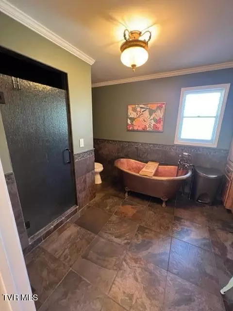 Bath - 1008 Prince Avenue Erwin Tn 37650, Erwin, TN 37650 photo 2 of 3