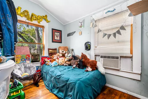 419 W Maple Street Johnson City Tn 37604, Johnson City, TN 37604 photo 37