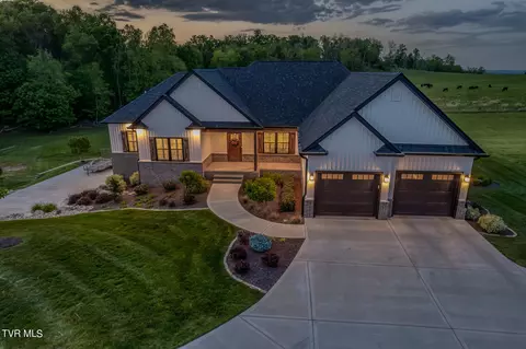 290 Hillendale Lane Gray Tn 37615, Gray, TN 37615