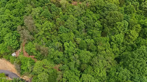 0 Tbd Talley Rd Parrottsville Tn 37843, Parrottsville, TN 37843