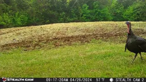 4045 S Mohawk Road Midway Tn 37809, Midway, TN 37809 photo 20