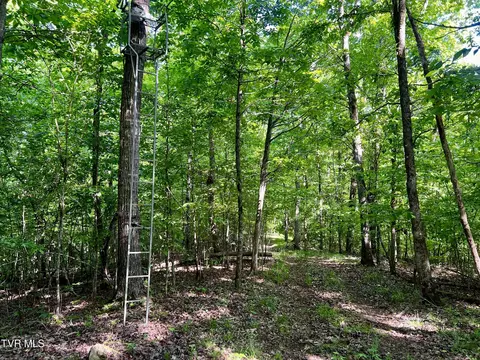4045 S Mohawk Road Midway Tn 37809, Midway, TN 37809 photo 31