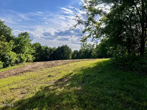 4045 S Mohawk Road Midway Tn 37809, Midway, TN 37809 photo 43