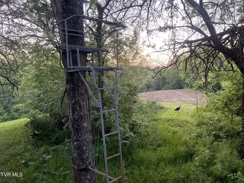 4045 S Mohawk Road Midway Tn 37809, Midway, TN 37809 photo 5
