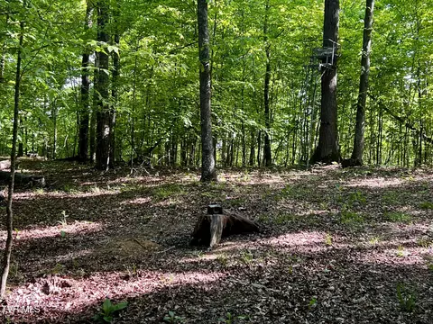 4045 S Mohawk Road Midway Tn 37809, Midway, TN 37809 photo 32