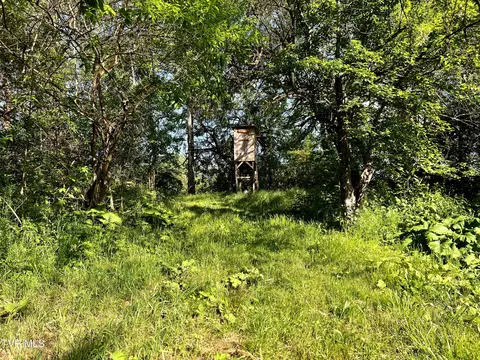 4045 S Mohawk Road Midway Tn 37809, Midway, TN 37809 photo 39