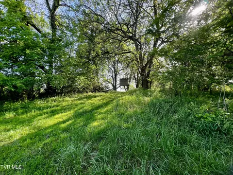 4045 S Mohawk Road Midway Tn 37809, Midway, TN 37809 photo 41
