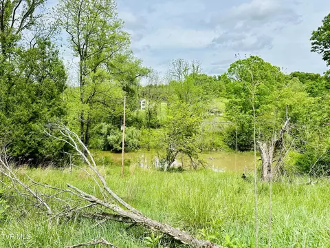 22468 Green Springs Ch Road Abingdon Va 24211, Abingdon, VA 24211 photo 11