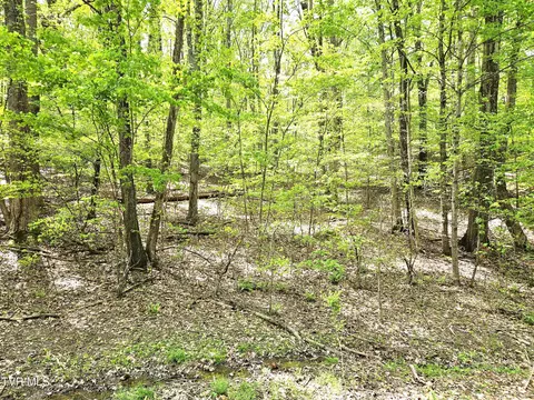 000 Hillcrest Street Rogersville Tn 37857, Rogersville, TN 37857