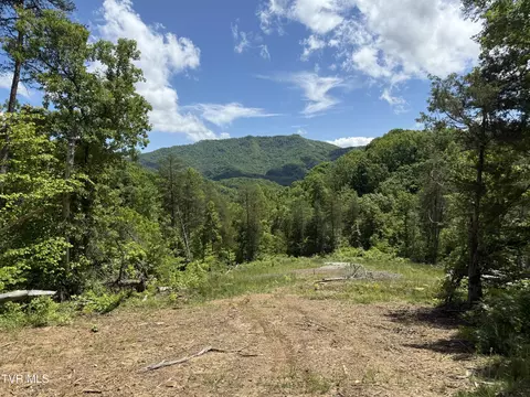 146 Ac Tbd Simpson Loop Rogersville Tn 37857, Rogersville, TN 37857