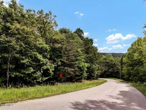 lot141 Whistle Valley Road New Tazewell Tn 37825, New Tazewell, TN 37825