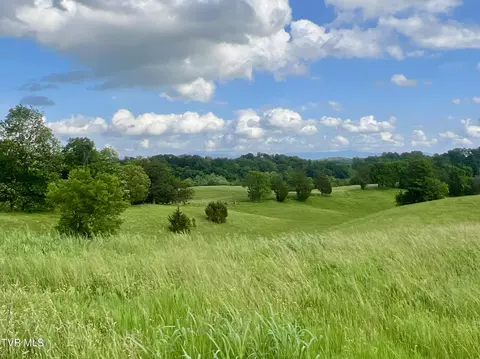 tbd Paul Weems Road Greeneville Tn 37745, Greeneville, TN 37745