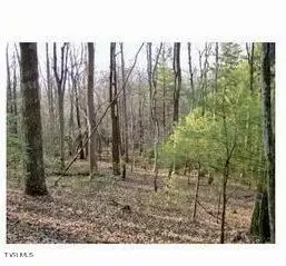 379 Banjo Ridge Road Butler Tn 37640, Butler, TN 37640