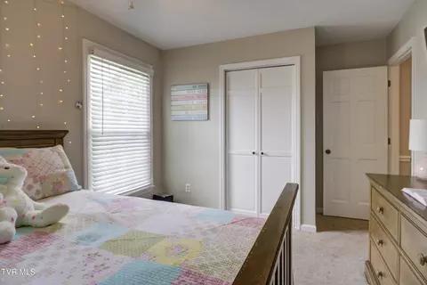 103 Bayberry Court Gray Tn 37615, Gray, TN 37615 photo 28