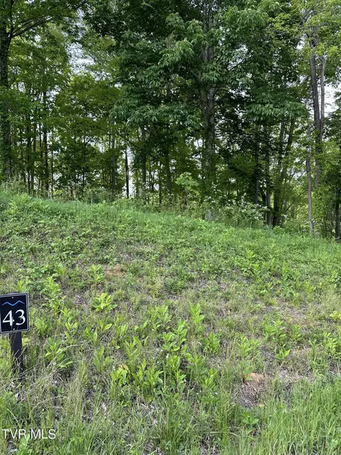 000 Lot Apt 43 - Watauga Ridge Road Butler Tn 37640, Butler, TN 37640