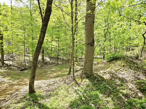 00 Oak Grove Road Rogersville Tn 37857, Rogersville, TN 37857