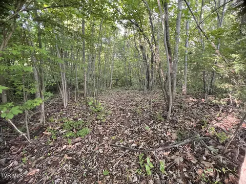 0 Shakesville Rd Bristol Va 24201, Bristol, VA 24201
