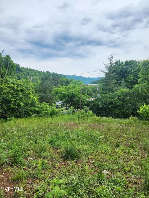 tbd Siam Roaddanial Lane Road Elizabethton Tn 37643, Elizabethton, TN 37643
