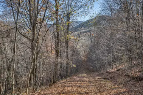 lot1 Timber Crest Drive Roan Mountain Tn 37687, Roan Mountain, TN 37687