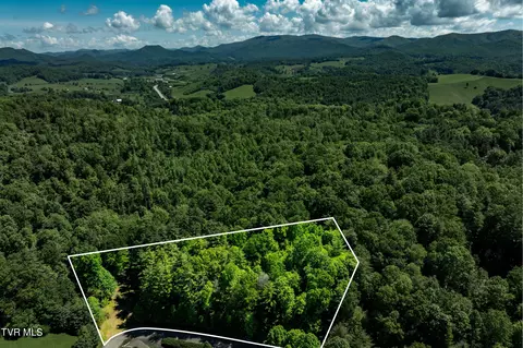 tbd Laurelwood Lane Mountain City Tn 37683, Mountain City, TN 37683