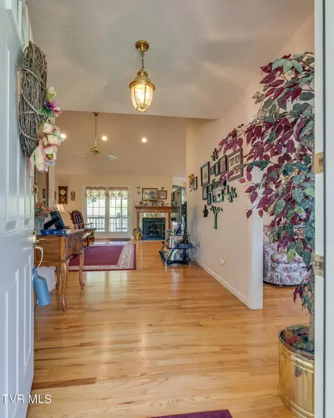 29083 Blue Spring Road Meadowview Va 24361, Meadowview, VA 24361 photo 11