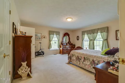 29083 Blue Spring Road Meadowview Va 24361, Meadowview, VA 24361 photo 21