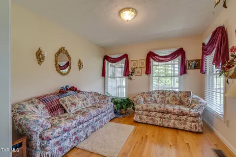 29083 Blue Spring Road Meadowview Va 24361, Meadowview, VA 24361 photo 12