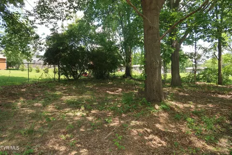 Exterior - 1413 Bailey Bridge Road Road Limestone Tn 37681, Limestone, TN 37681 photo 6 of 9