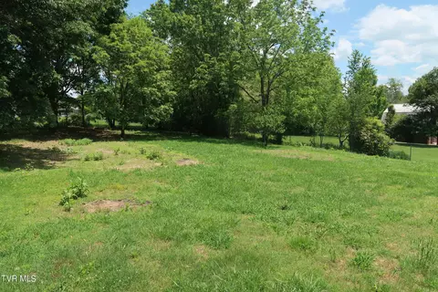 Exterior - 1413 Bailey Bridge Road Road Limestone Tn 37681, Limestone, TN 37681 photo 7 of 9