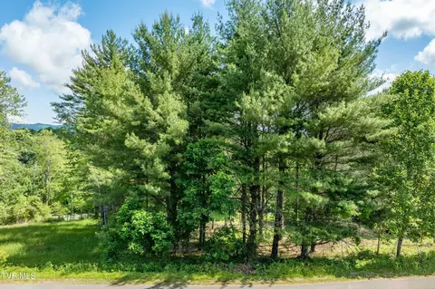 lot Apt 60 Laurel Way Mountain City Tn 37683, Mountain City, TN 37683