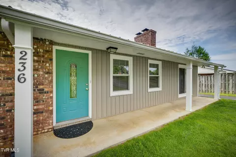 236 Clearview Street Gray Tn 37615, Gray, TN 37615 photo 4