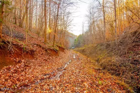 153 Opposum Hollow Road Elizabethton Tn 37643, Elizabethton, TN 37643