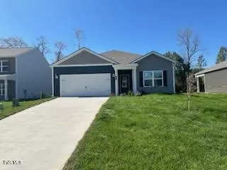 356 Terrapin Drive Johnson City Tn 37604, Johnson City, TN 37604
