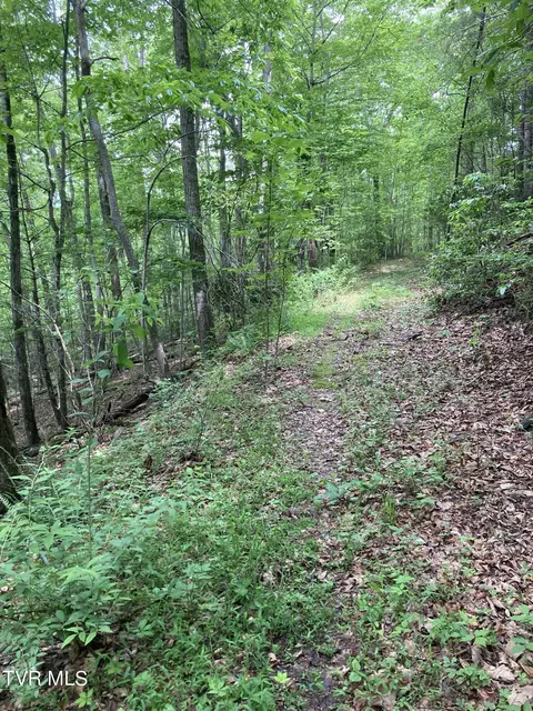 tbd Dye Leaf Road Butler Tn 37640, Butler, TN 37640