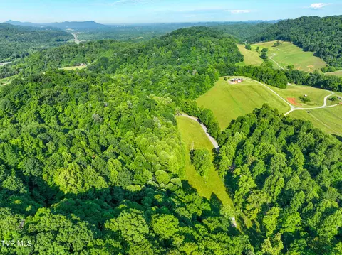 tbd Cole Hollow Road Road Blountville Tn 37617, Blountville, TN 37617