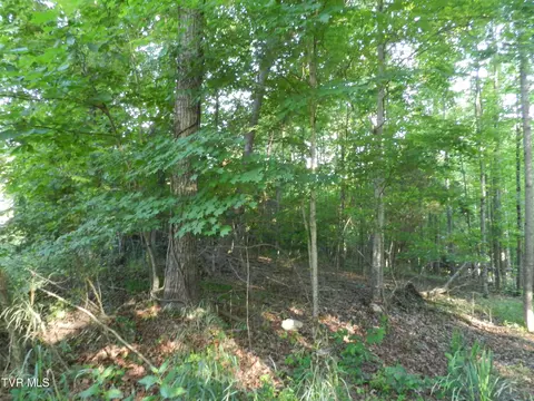 0 Miller Wood Road Church Hill Tn 37642, Church Hill, TN 37642