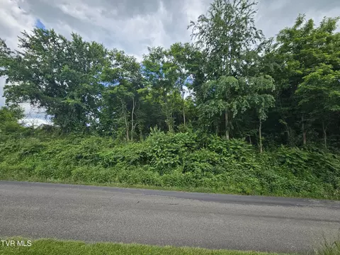 tbd Aven Lane Abingdon Va 24211, Abingdon, VA 24211