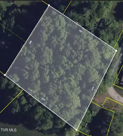 tbd Sugar Hollow Road Unicoi Tn 37692, Unicoi, TN 37692