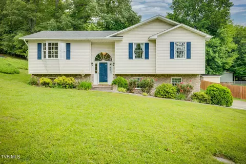 180 Ashley Drive Mount Carmel Tn 37645, Mount Carmel, TN 37645