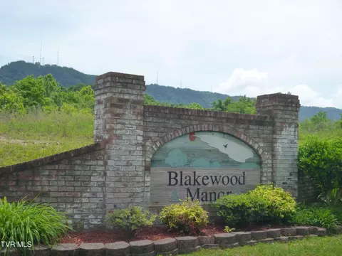 1727 Blakewood Court 1727 Kingsport Tn 37660, Kingsport, TN 37660