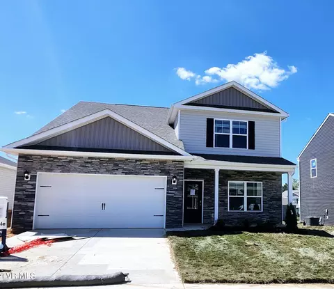 109 Thistle Drive Bluff City Tn 37618, Bluff City, TN 37618