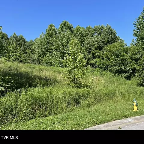 215 Brighton Place Bristol Tn 37620, Bristol, TN 37620