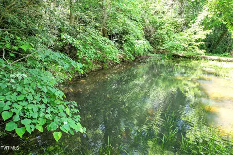 5 Davis Lane Chuckey Tn 37641, Chuckey, TN 37641 photo 18