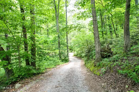 5 Davis Lane Chuckey Tn 37641, Chuckey, TN 37641 photo 5