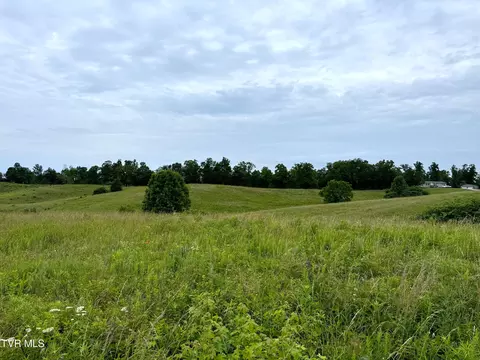lot9 Turner Hill Road Mosheim Tn 37818, Mosheim, TN 37818