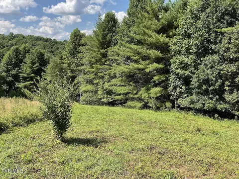 lot Apt 55 Laurel Way Mountain City Tn 37683, Mountain City, TN 37683