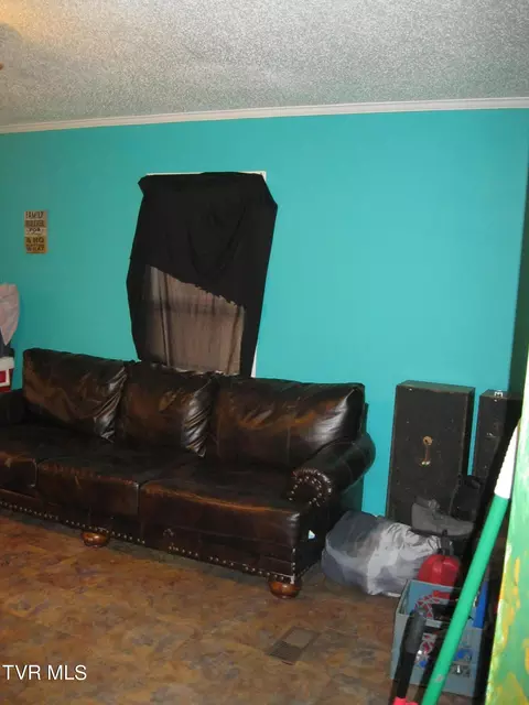 141 Madison Street Erwin Tn 37650, Erwin, TN 37650 photo 9