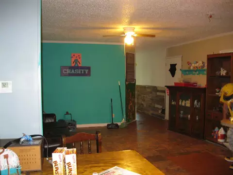 141 Madison Street Erwin Tn 37650, Erwin, TN 37650 photo 10