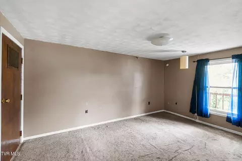 335 Biddle St Greeneville Tn 37745, Greeneville, TN 37745 photo 43