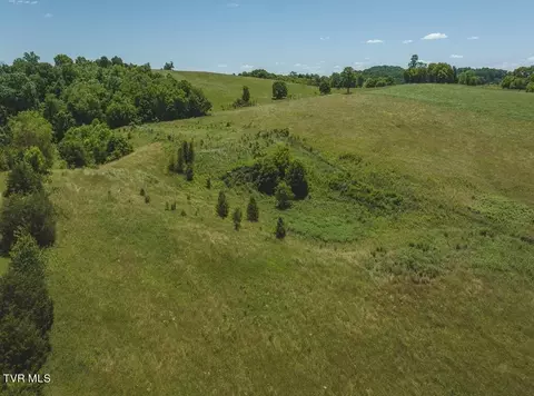 12 69 Acre East Sugar Hollow Road Russellville Tn 37860, Russellville, TN 37860